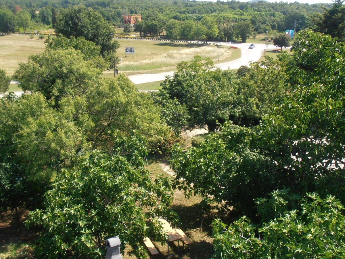 Apartments Coki Фунтана Екстериор снимка
